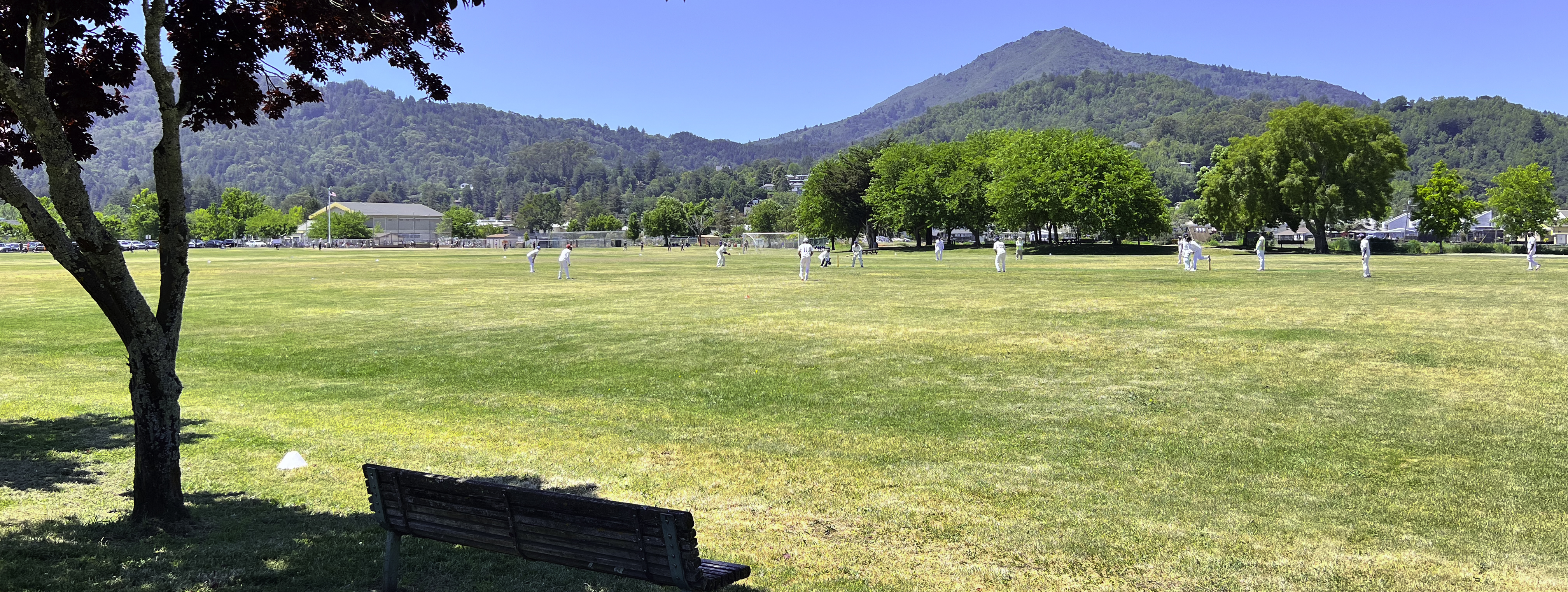 Marin Cricket Club