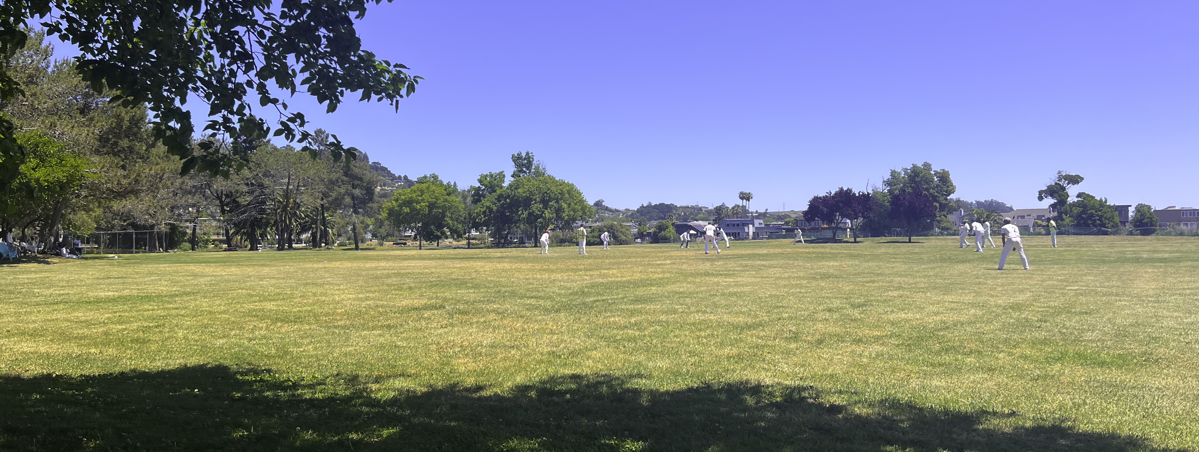 Marin Cricket Club