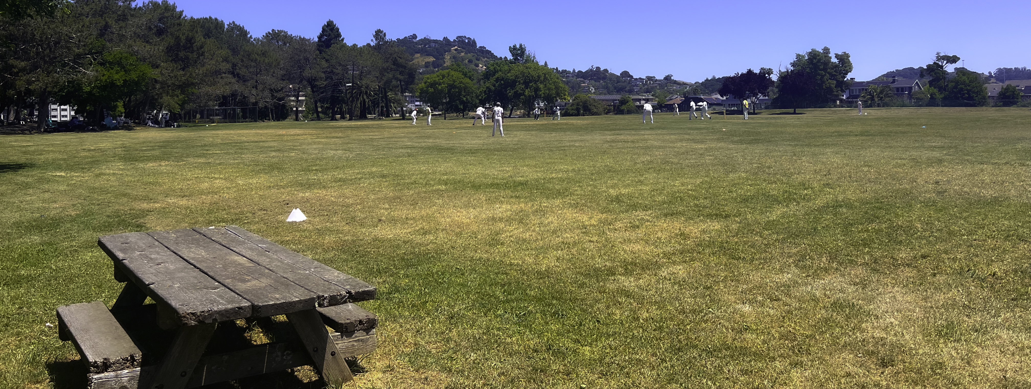 Marin Cricket Club